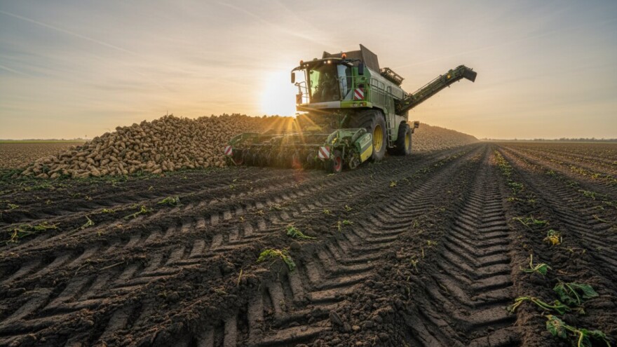 Počela kampanja šećerne repe