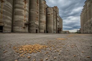 Počelo suđenje za nestalu pšenicu iz slatinskih silosa