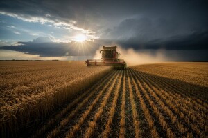 Počeo udarni tjedan ze žeteoce