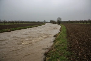 Početak marta topliji, sa padavinama