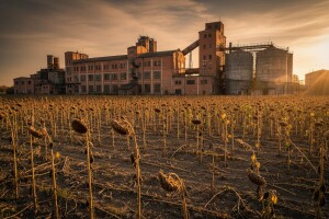 Početak privatizacije čepinske uljare