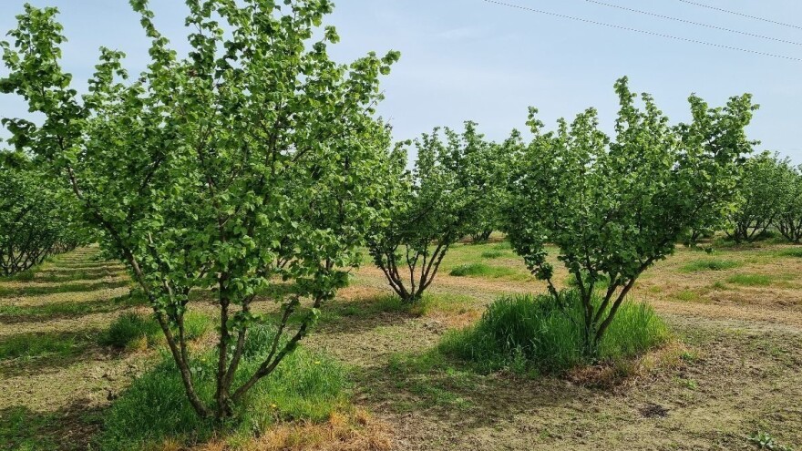 BIOinput asortiman obogatio organo - mineralnim gnojivima Grena