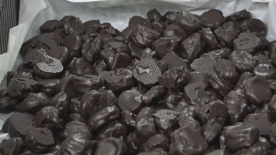 Kako nastaje suha i čokoladirana šljiva?