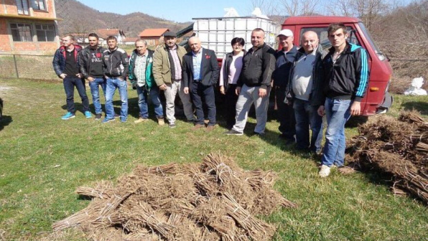Maline za održivi povratak i samozapošljavanje