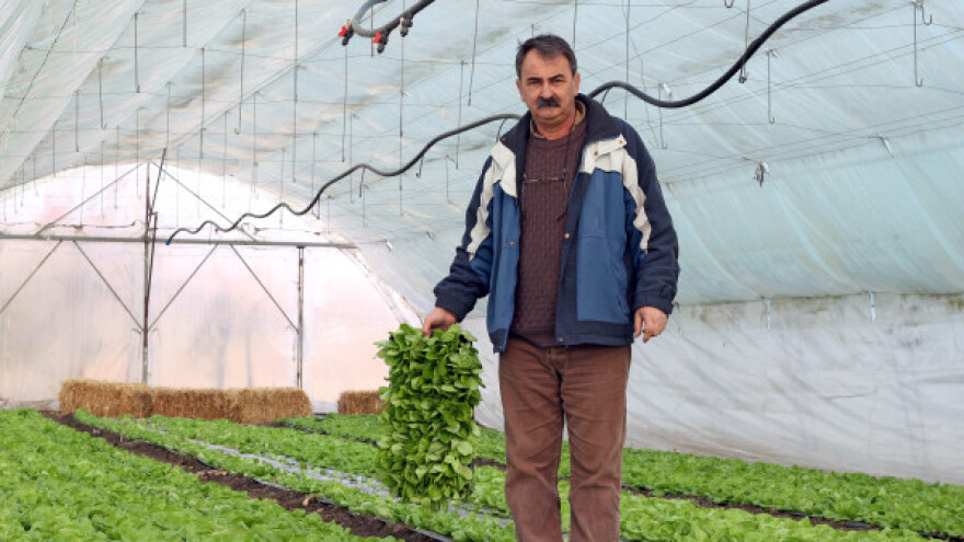 Podijeljeno 45 plastenika