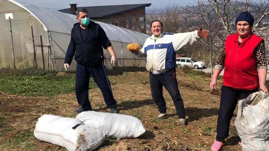 Podijelili 4.000 sadnica povrća, kao podršku poljoprivrednicima