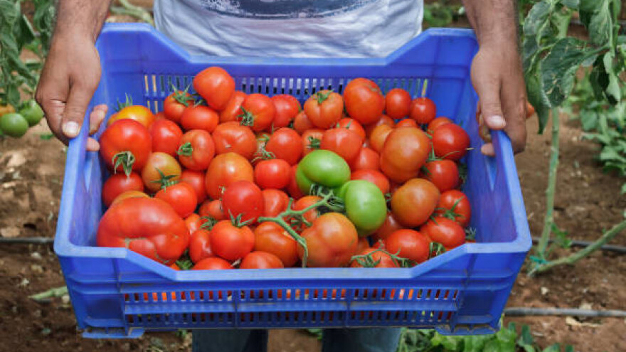 Podjela povrća u znak protesta