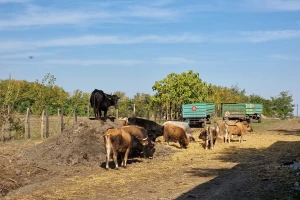 Poljoprivredni krediti do šest miliona sa tri odsto kamate