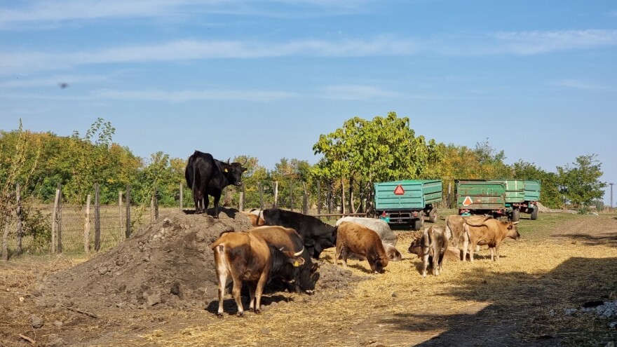 Poljoprivredni krediti do šest miliona sa tri odsto kamate