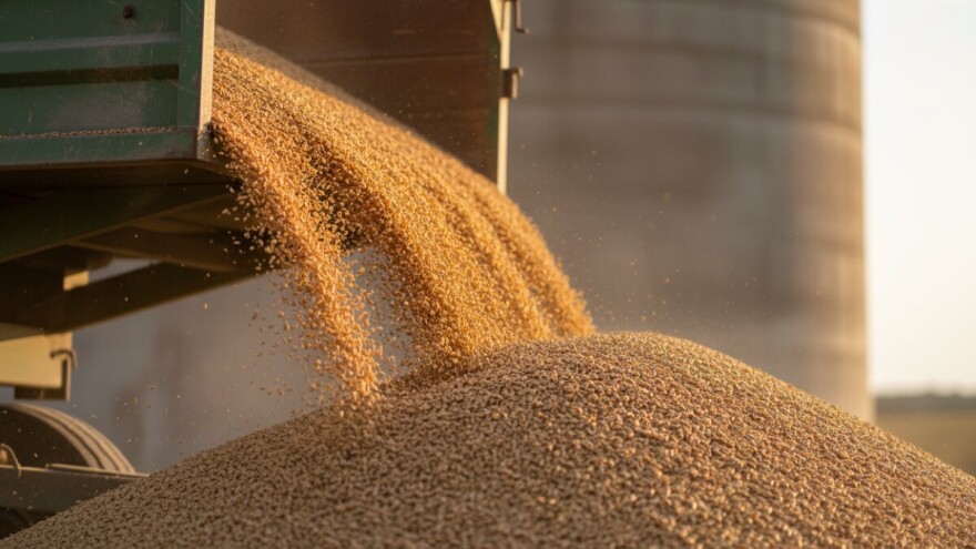 Podravka će pšenicu plaćati po kunu