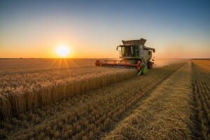 Podravka preuzima sve dionice Žita?