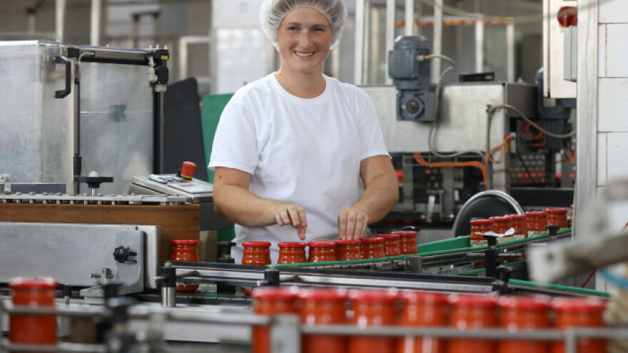 Ajvar na traci u Podravkinoj tvornici 24h dnevno