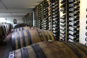 Syrah se udomaćio u Hercegovini, ponio titulu vinskog šampiona