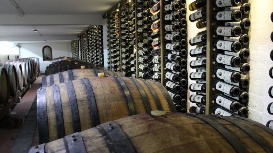 Syrah se udomaćio u Hercegovini, ponio titulu vinskog šampiona