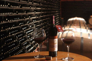 Zaštititi vrhunska domaća vina od crnog tržišta