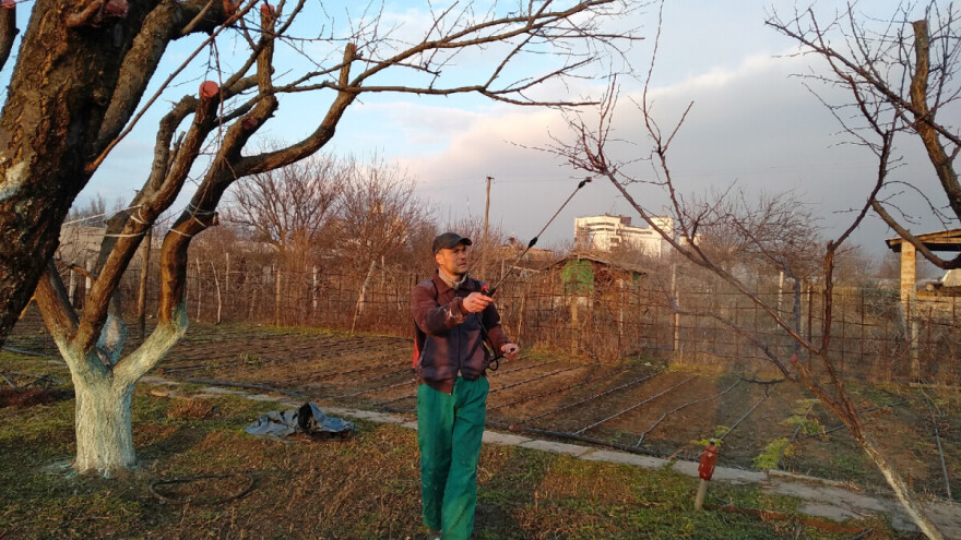 Podsjetnik voćarima: Ovaj tretman zaštite ne smije izostati i izvodi se sada