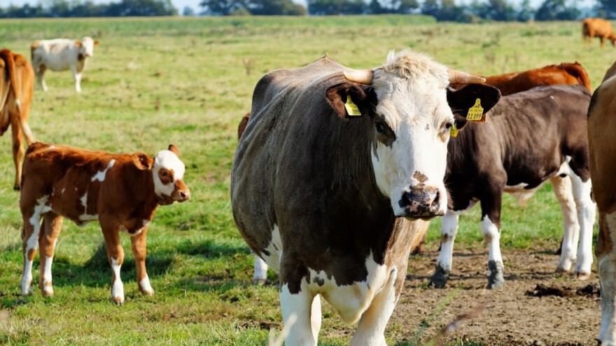 Isplaćeno 389.235 KM po osnovu podsticaja