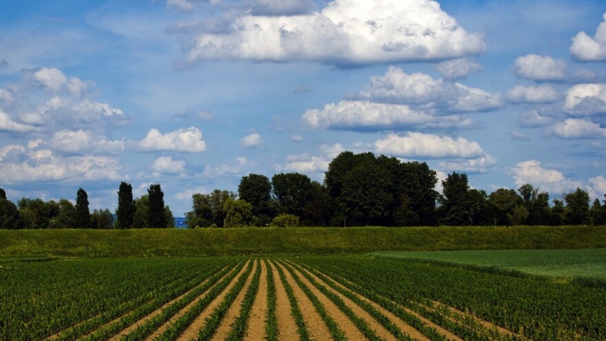 Isplaćeni podsticaji za poljoprivrednu proizvodnju u tekućoj godini