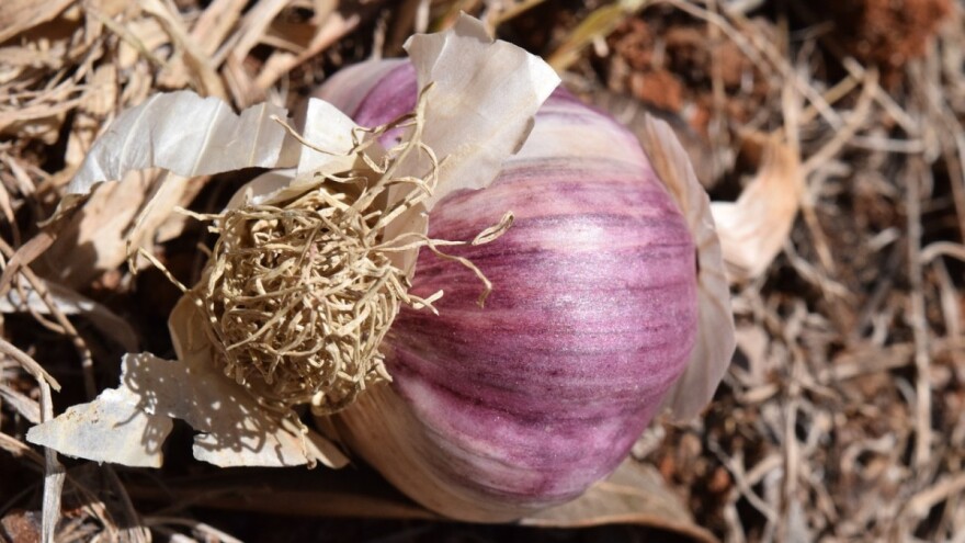 Za podsticaje poljoprivredi Kozarske Dubice 100.000 KM