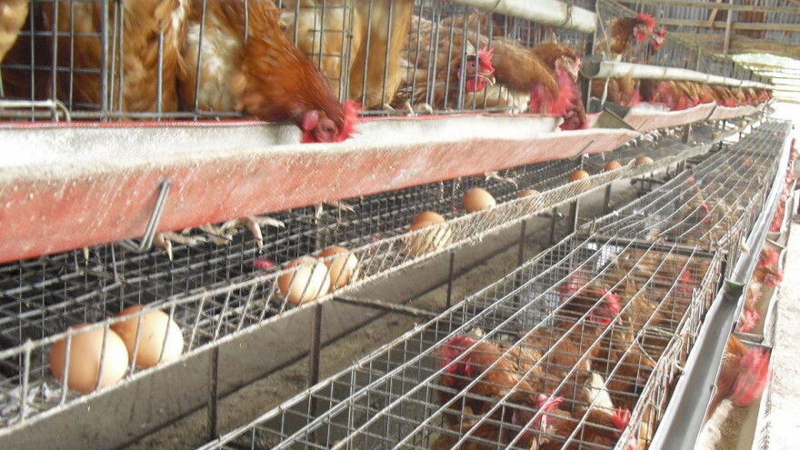 U Opštini Brod osigurali 200.000 KM za podsticaje u poljoprivredi