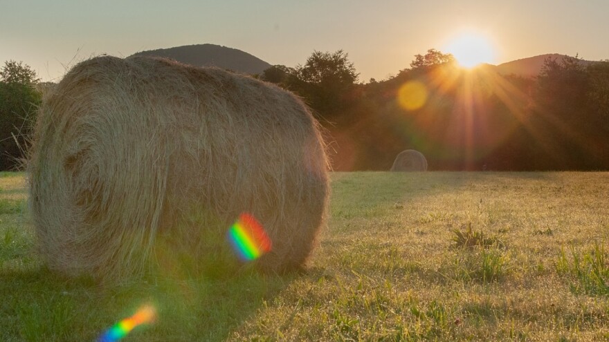 Isplaćeno 1.868.556 KM za podsticaje