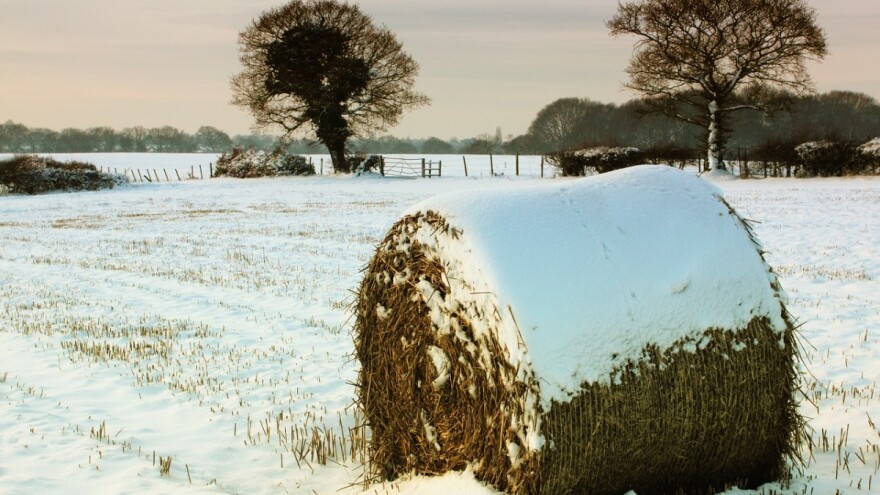 Nova uplata: Isplaćeno preko pola milona KM podsticaja