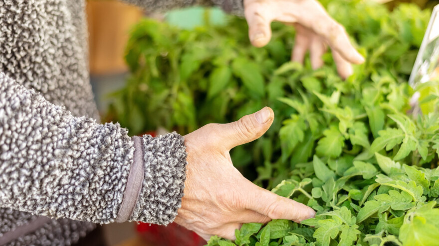 Isplaćeno 298.136 KM za poljoprivrednu proizvodnju