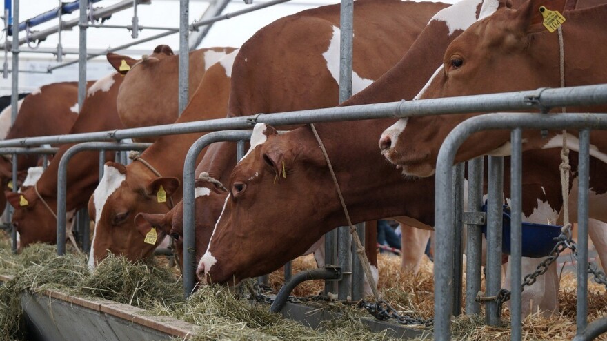 Podsticaji u 2020: U fokusu kapitalne investicije i domaća proizvodnja