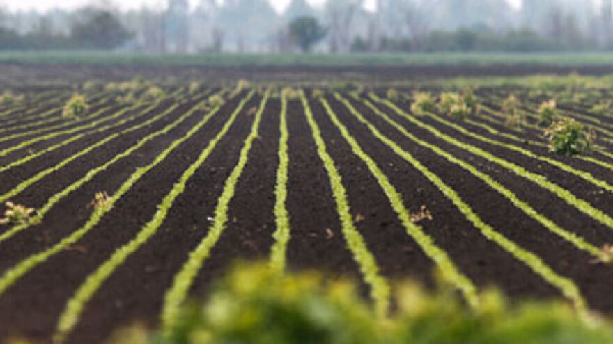 Čačanskim poljoprivrednicima 21,5 miliona dinara