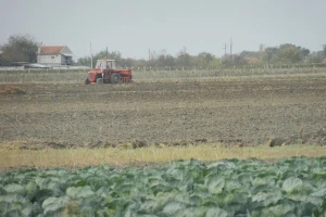 Ruma: 40 odsto premija na osiguranje useva