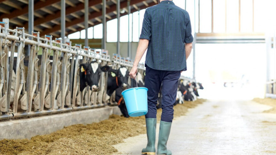 Što donosi Pravilnik o podsticajima za 2017.?