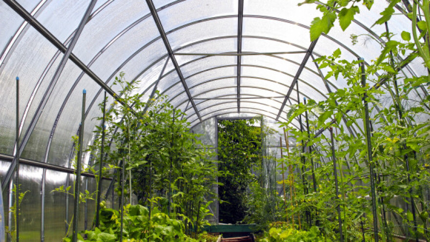 Ističe rok za podsticaje u primarnoj proizvodnji