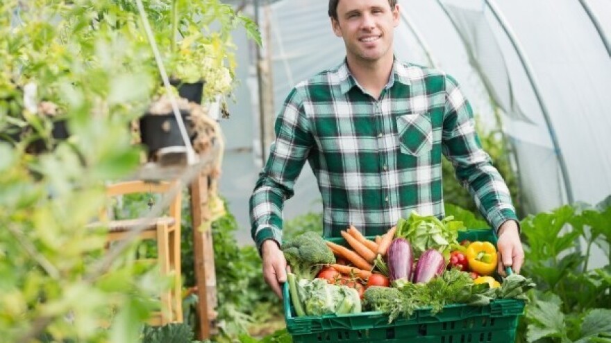 Kako do podsticaja za sertifikaciju proizvoda?