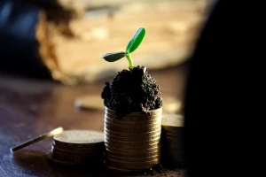 Podrška investicijama u preradu i marketing