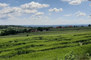 Intenzivnije padavine od ponedjeljka, lokalno i do 80 l/m2