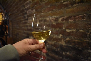 Ove subote posjetite Festival mladih vina "Mlado Međimurje"