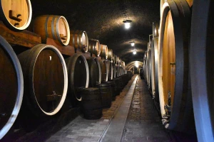Kako drvene bačve utječu na vino? Evo 9 zanimljivosti o njima