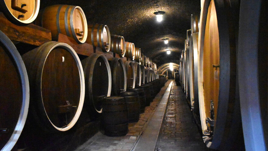 Kako drvene bačve utiču na vino? Evo devet zanimljivosti o njima