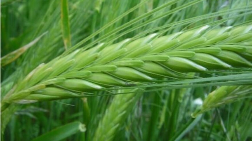 Ministar Čobanković otvara Poljoprivredno poduzetničke ideje 2010.