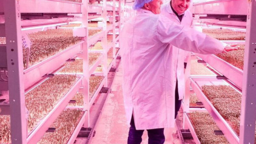 Uzgajaju povrće u skloništu iz 2. Svjetskog rata