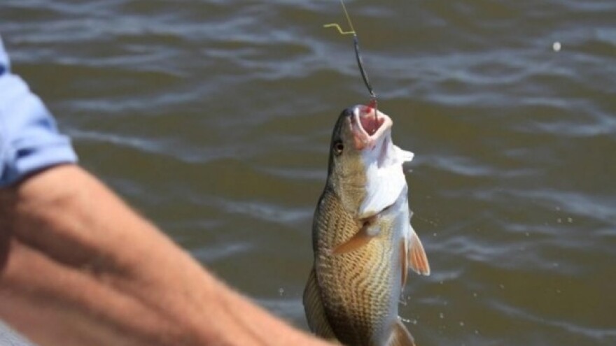 Otvaranje poglavlja 13 o ribarstvu sledeće godine