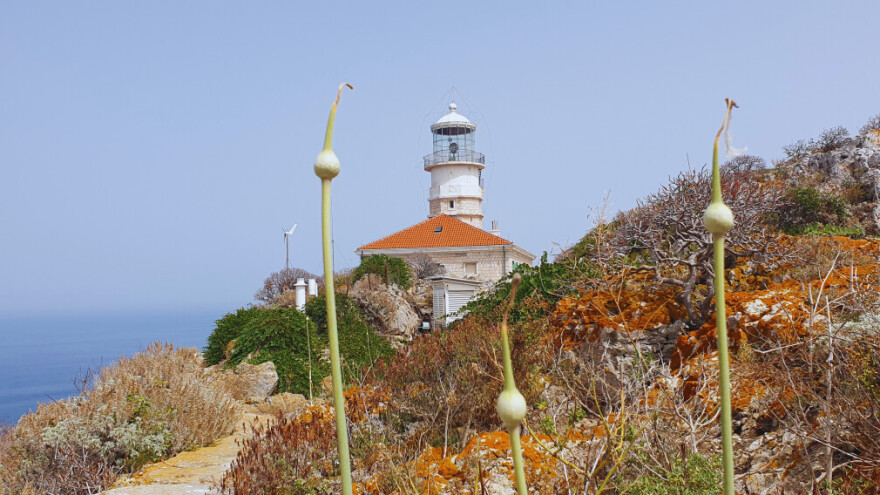 Na Palagruzu, na Palagruzu - po kapare