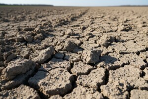 Pogreške koje narušavaju kvalitetu tla