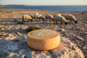 Pohvale paškoj sirani