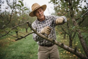 Pojednostavljeno prijavljivanje sezonaca smanjuje rad na crno