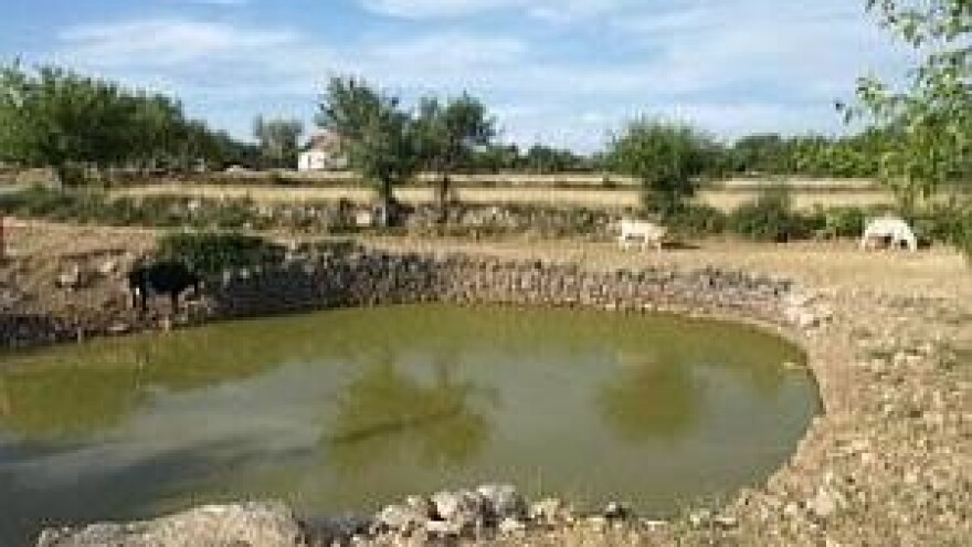 Pojilišta za stoku u kršu