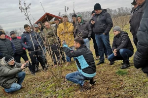 Predavanje o eko proizvodnji lijeske i pokazna rezidba u Slatini