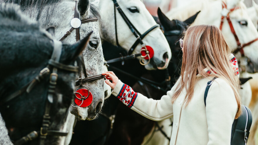 Pokladno jahanje u Branjinom Vrhu oduševilo i ove godine, evo kako je bilo