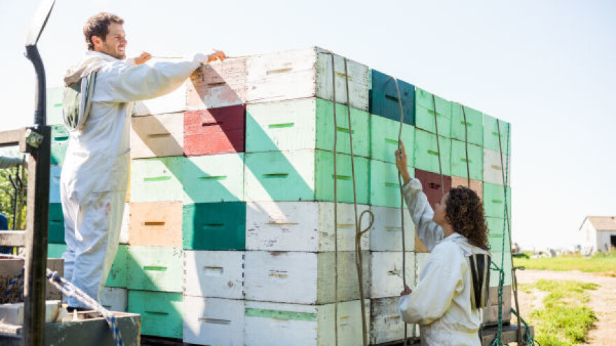 Pčelari početnici dobili na poklon košnice