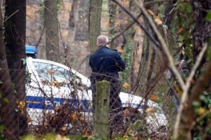 Šumar ​kazneno prijavljen zbog pustošenja šuma